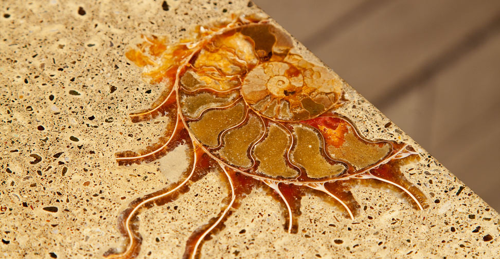 9" Ammonite Inlay in a Bathroom Concrete Vanity by Fu-Tung Cheng | Concrete Exchange