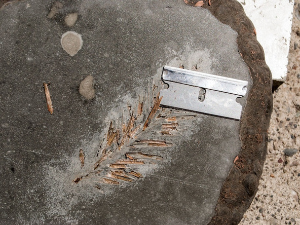 Step 5.1, Remove the Leaf - Rustic Concrete Stepping Stone | CHENG Concrete Exchange