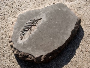 Step 7, Finished Concrete Stepping Stone - Rustic Concrete Stepping Stone | CHENG Concrete Exchange