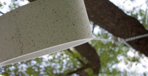 Concrete Bird Feeder by John Newbold, Newbold Stone | Concrete Exchange