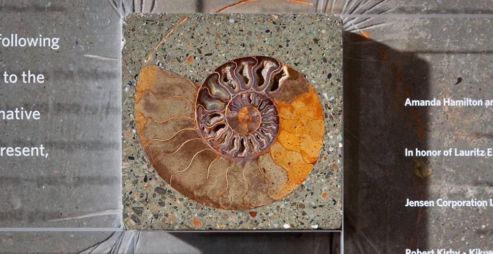 9" Ammonite Inlay - California Academy of Sciences Donor Wall | Concrete Exchange