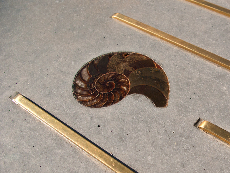 Embedding an Ammonite - Step 6 | Concrete Exchange