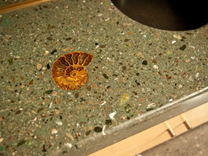 Embedding an Ammonite - Step 6 | Concrete Exchange